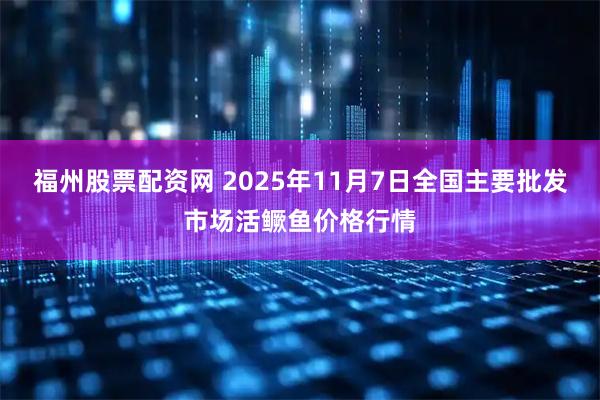 福州股票配资网 2025年11月7日全国主要批发市场活鳜鱼价格行情