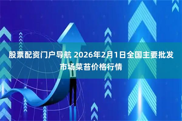 股票配资门户导航 2026年2月1日全国主要批发市场菜苔价格行情