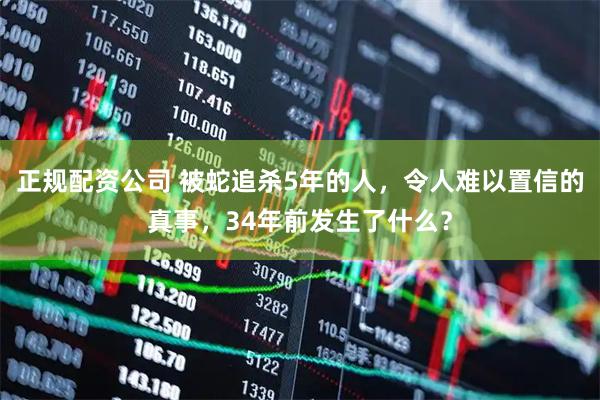 正规配资公司 被蛇追杀5年的人，令人难以置信的真事，34年前发生了什么？